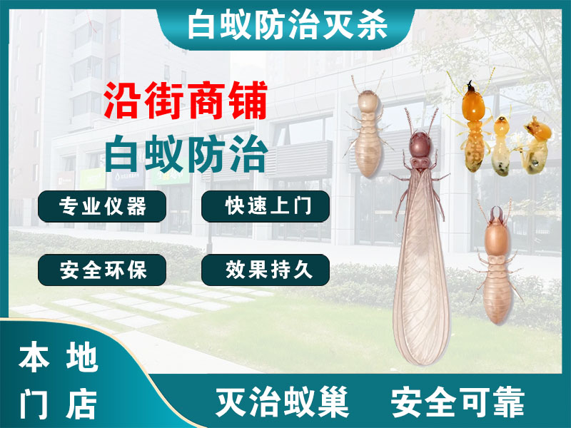 西湖沿街商铺白蚁防治