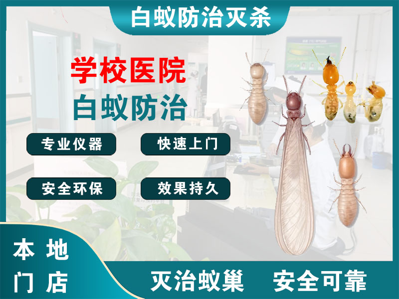 西湖学校医院白蚁防治