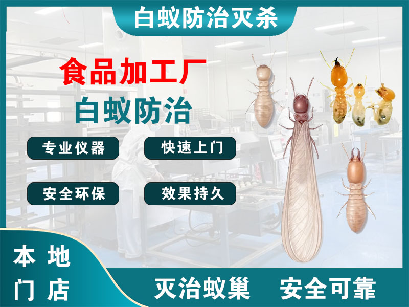 西湖食品加工厂白蚁防治