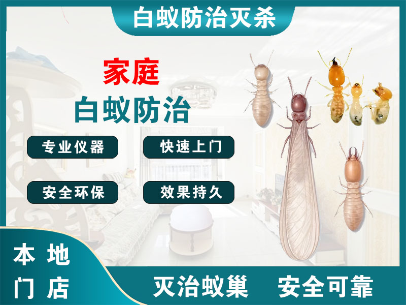 西湖家庭白蚁防治