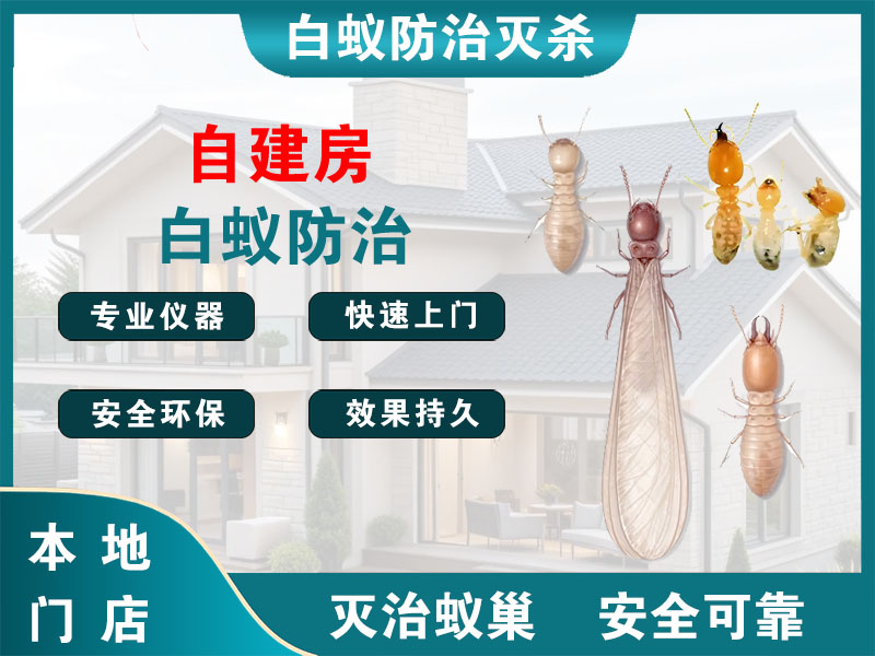 西湖自建房白蚁防治