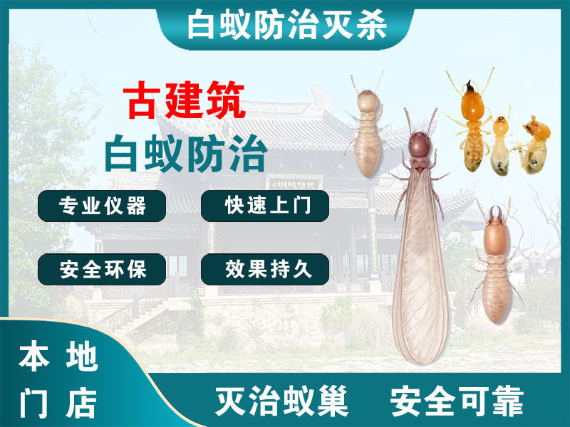 西湖古建筑白蚁防治