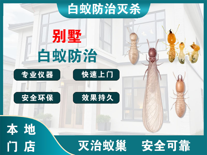 西湖别墅白蚁防治