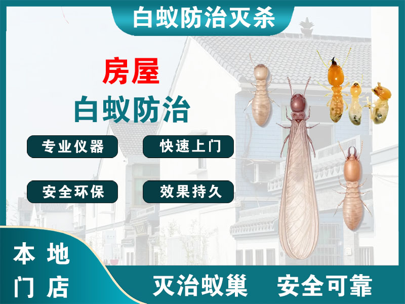 西湖房屋白蚁防治